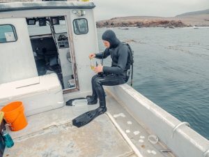 what is marine survey