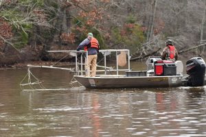 boat insurance survey