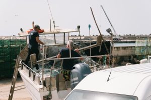 condition and value survey